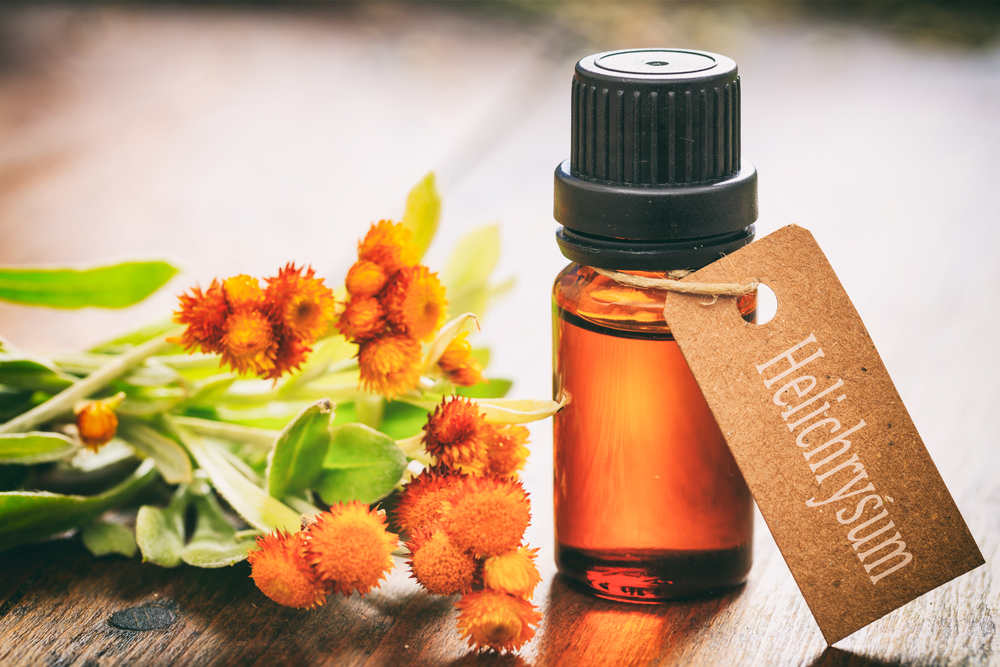 13 Amazing Benefits of Helichrysum Essential Oil