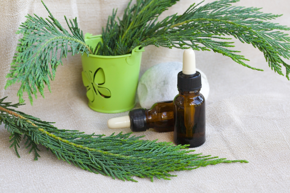 11 Amazing Benefits of Thuja Essential Oil