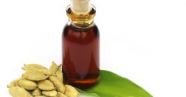 Cardamom Essential Oil