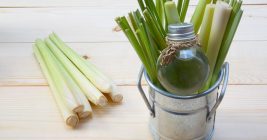 Lemongrass Essential Oil