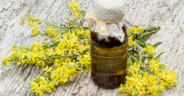 11 Amazing Health Benefits of Mullein Essential Oil