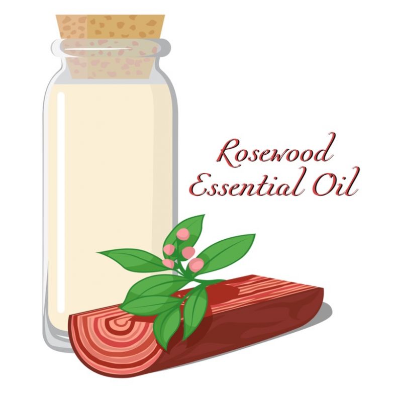 11 Impressive Health Benefits of Rosewood Essential Oil