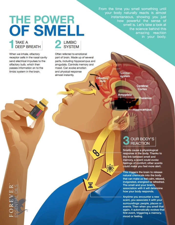 What are the effects of different extraction methods on essential oils ...
