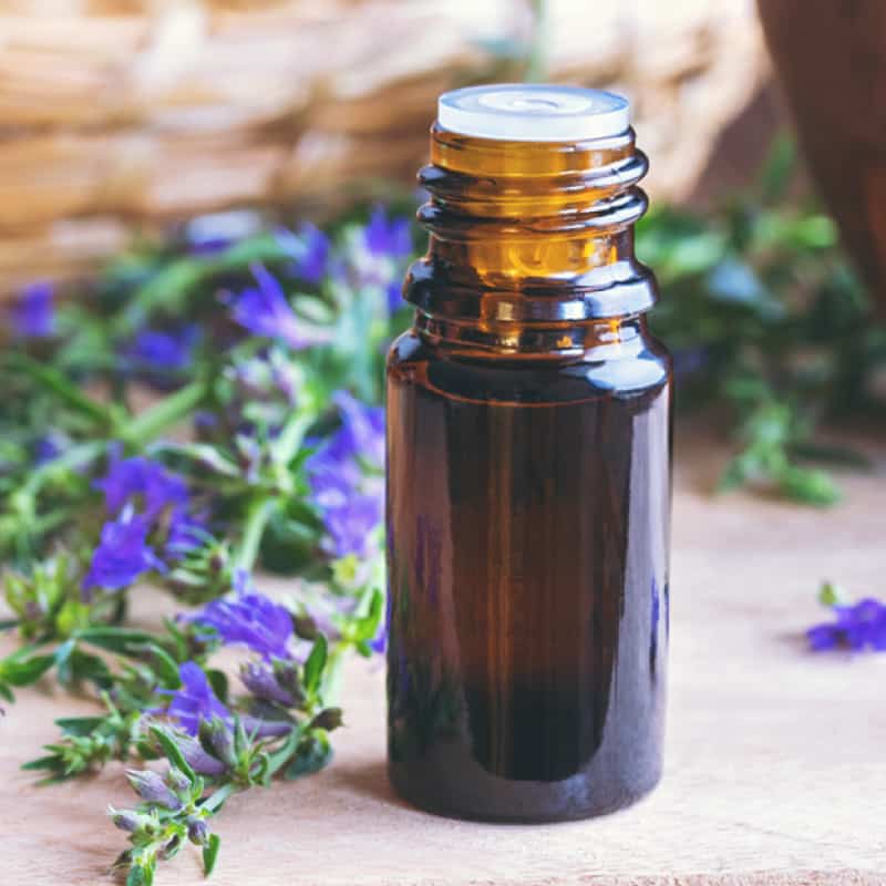Hyssop Helps Heal Respiratory Conditions &amp; the Gut - Dr. Axe