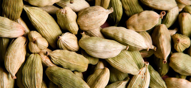 Cardamom Essential Oil